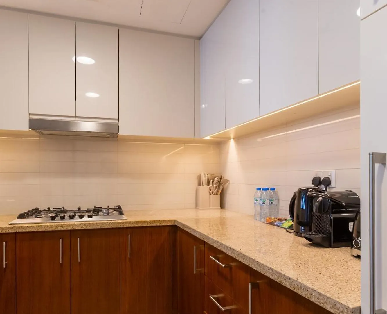 Dubai Mall Direct Access Apartment - Burj Vista